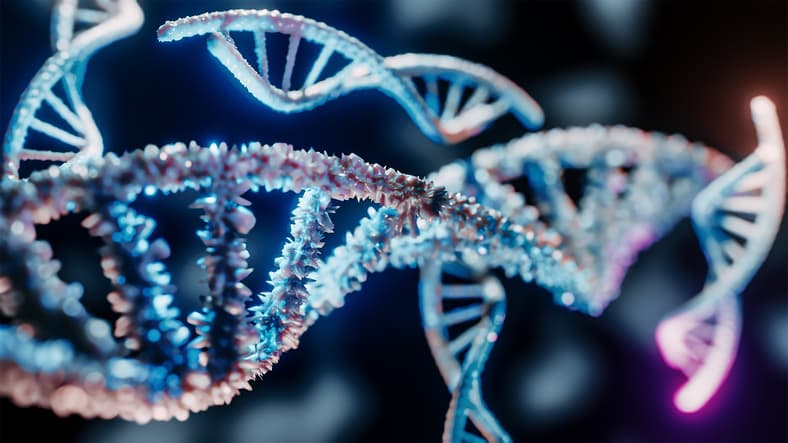 Proteiner og DNA