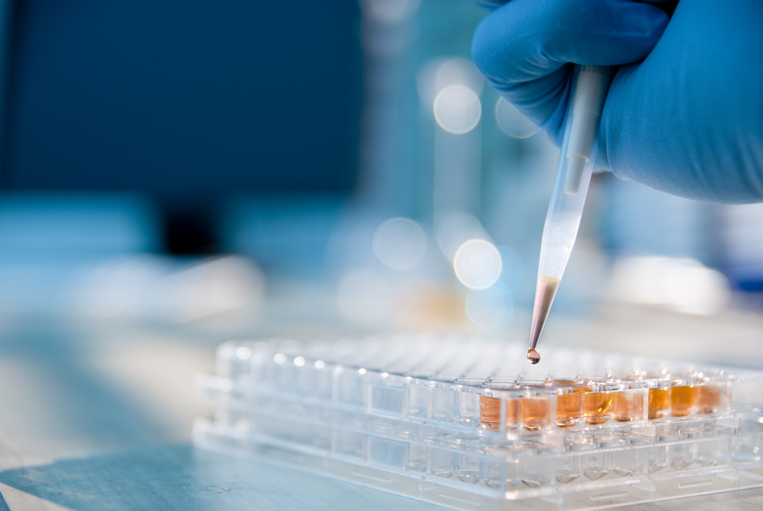 Pipette