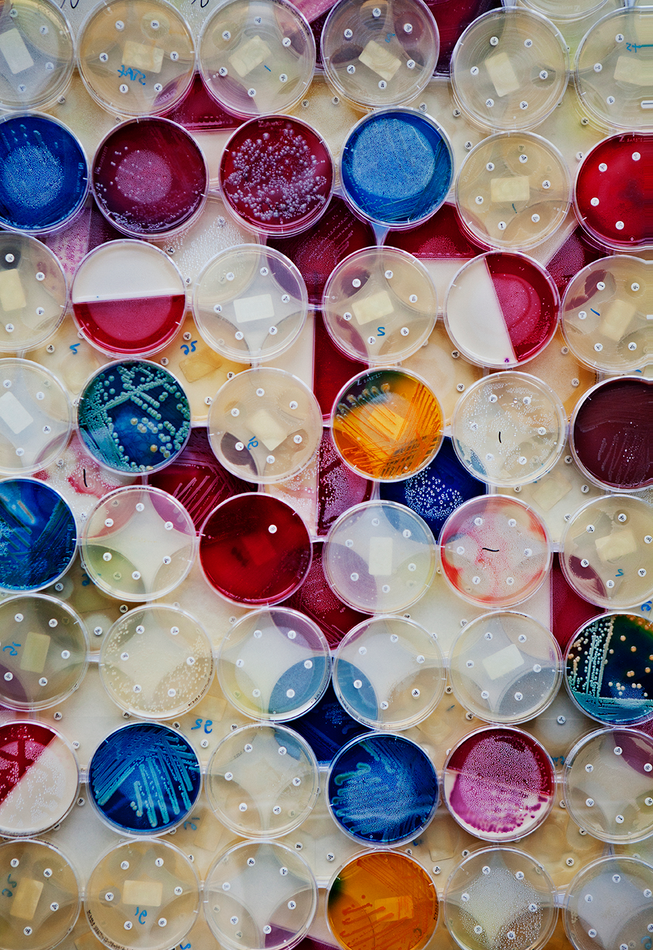 Decorative sample vials