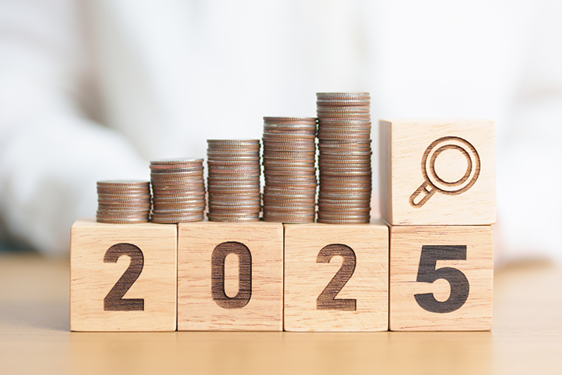 Salary Statistics 2025 graphics